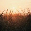 A Review of Walter Brueggemann’s “Money and Possessions”